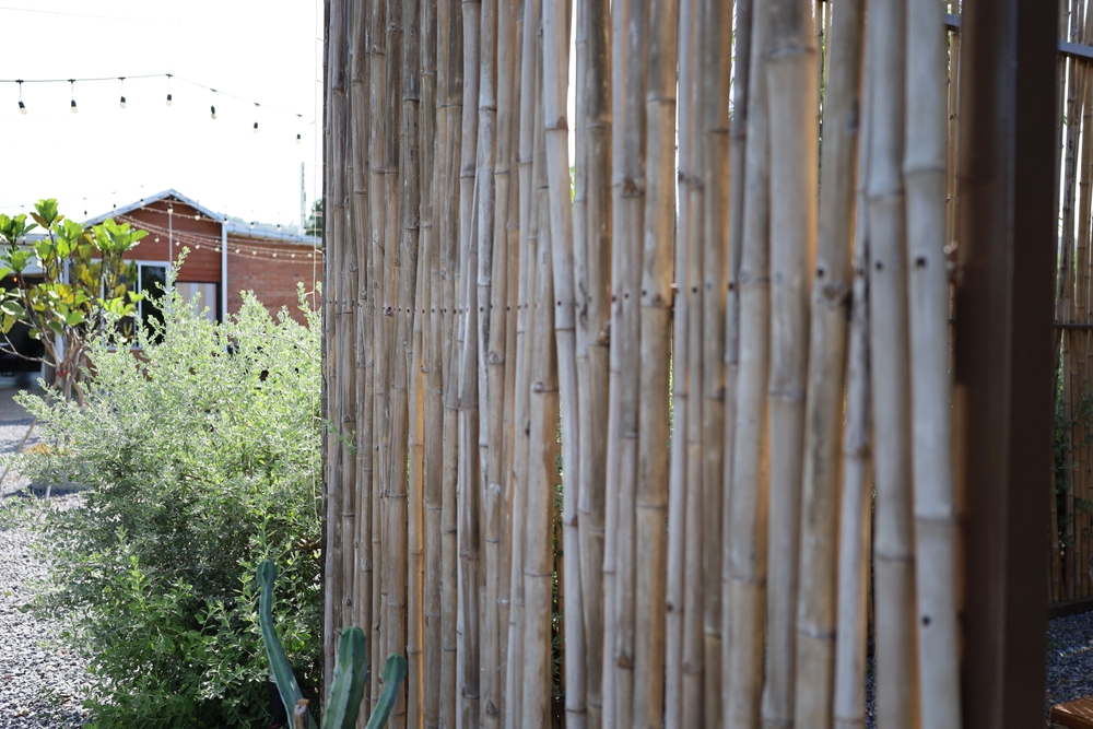 These Are 9 Low-Cost Alternatives to Store-Bought Garden Fencing