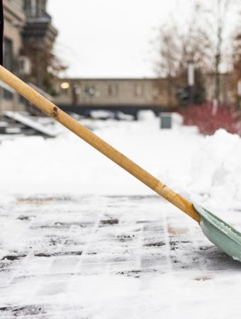 Why January Is the Cheapest Time to Fix Long-Term Garden Problems