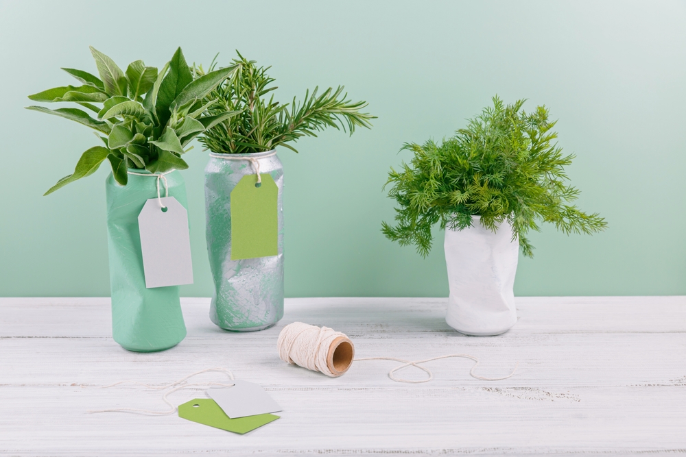 The $0 Garden Trend That’s Taking Over Pinterest—And Why It’s Perfect for Southern Growers