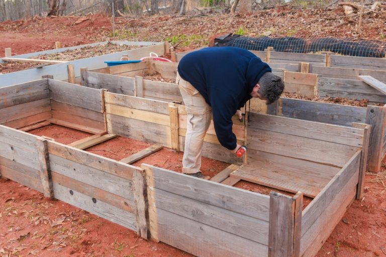Here Are 8 Ways to Prepare Garden Beds Without Buying New Soil