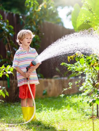 Why Early Garden Planning Reduces Water Bills Later