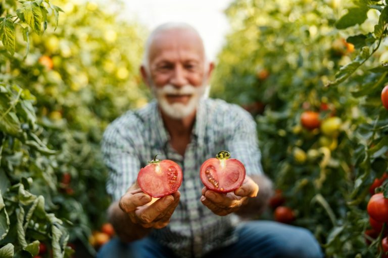 These Are 12 Seeds You Should Start Early If You Want Big Spring Harvests