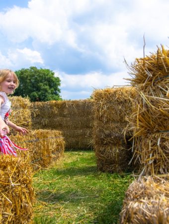 These Are 9 Cheap Windbreak Ideas That Save Plants in a Cold Snap