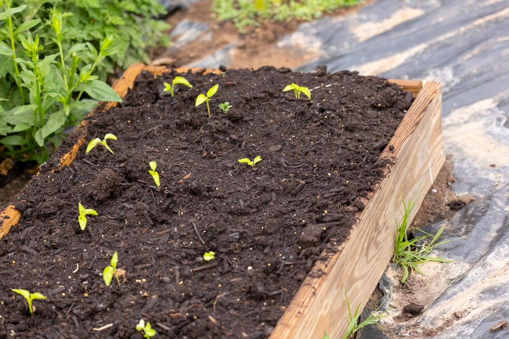 Here Are 8 Ways to Prepare Garden Beds Without Buying New Soil