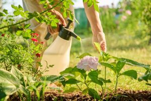 7 Pest Problems That Begin Long Before You See the Damage