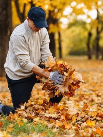 Here Are 8 Ways to Reduce Garden Waste Before the Growing Season Starts
