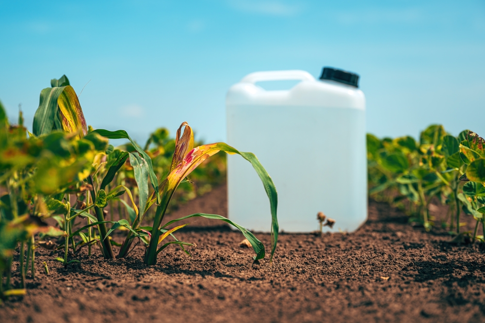 Extension Offices Are Sounding the Alarm on This Popular Compost Ingredient