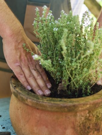 These Are 10 Ways to Keep Outdoor Pots From Cracking in a Hard Freeze