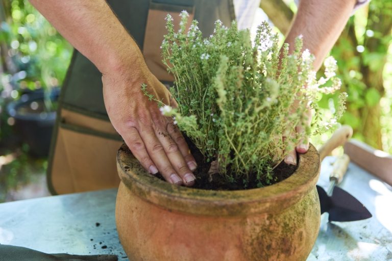 These Are 10 Ways to Keep Outdoor Pots From Cracking in a Hard Freeze