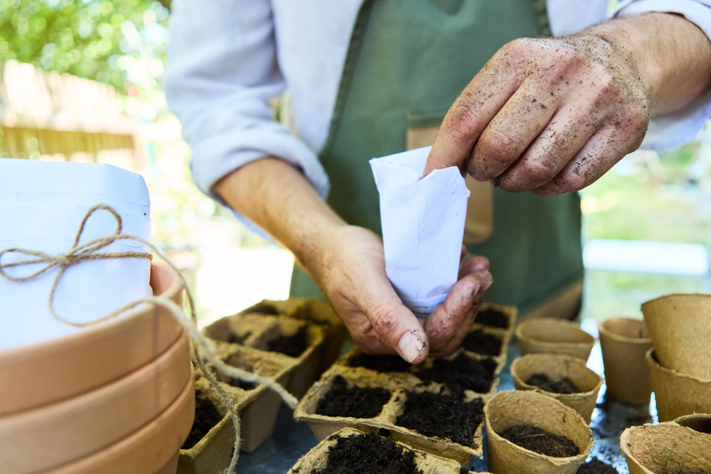 Seed Companies Are Clearing Inventory Before New Releases