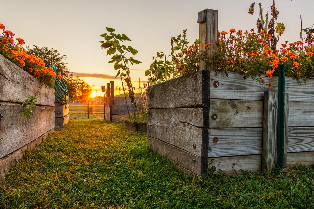 9 Raised Bed Fixes That Stop Soil From Turning to Soup