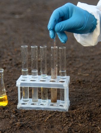 The $3 Soil Test That Could Save Your Spring Garden—And It’s Not Sold at Big Box Stores