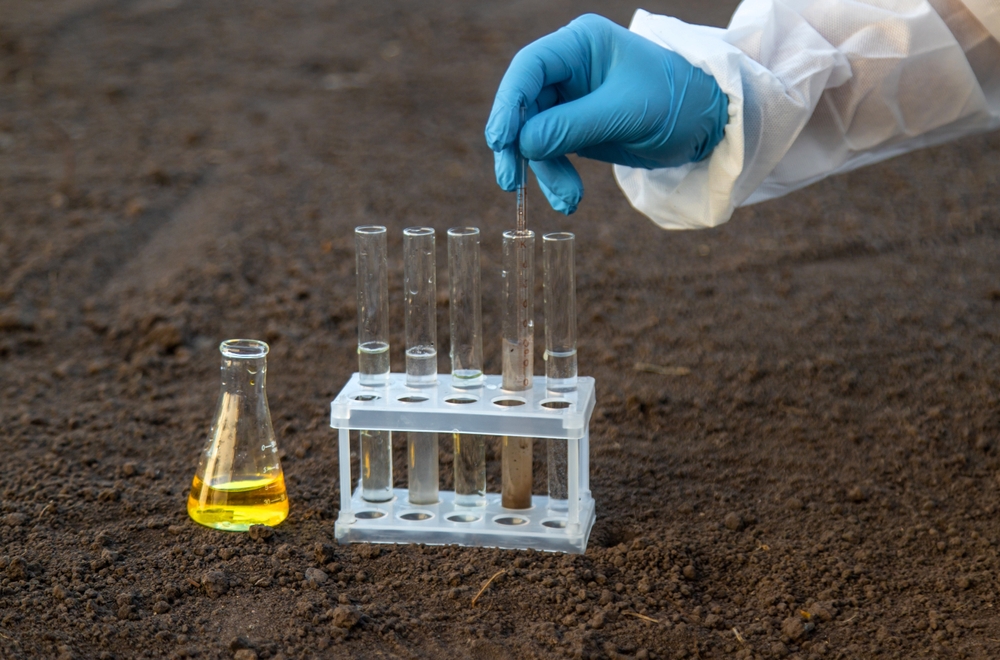 The $3 Soil Test That Could Save Your Spring Garden—And It’s Not Sold at Big Box Stores