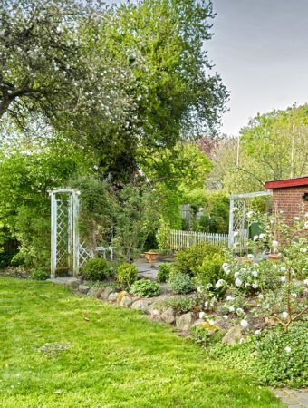 Here Are 10 Backyard “Warm Spots” Where Plants Survive the Coldest Nights