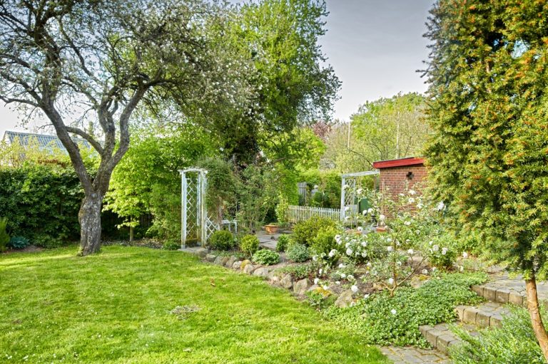 Here Are 10 Backyard “Warm Spots” Where Plants Survive the Coldest Nights