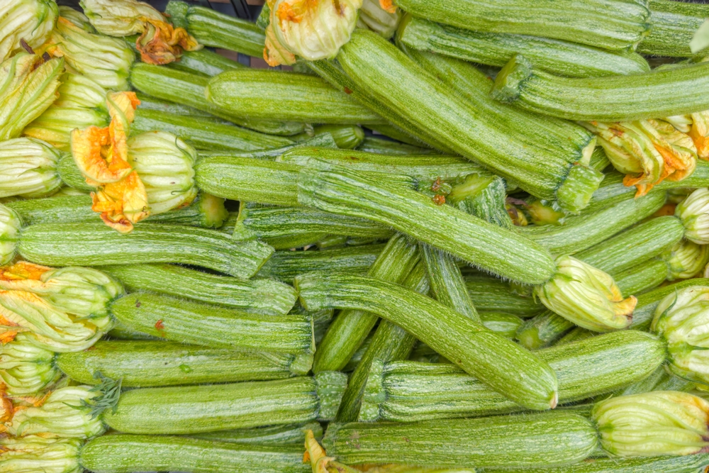 Here Are 8 Seeds That Germinate Reliably Without Special Equipment