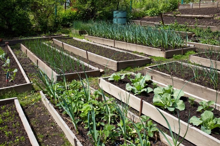 8 Garden Layout Changes That Cut Costs All Season