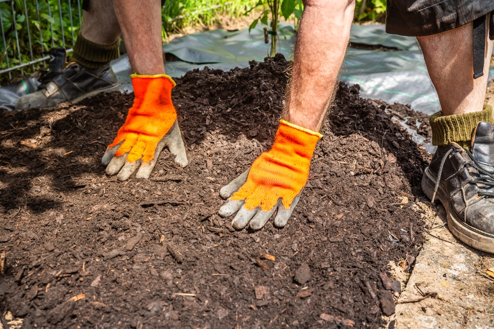 Here Are 7 Winter Mulches That Actually Warm Soil Instead of Chilling It