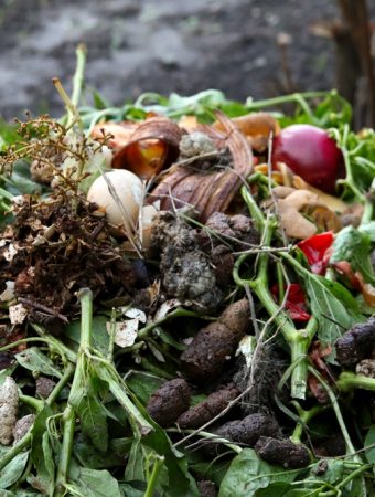 Here Are 7 Compost Layering Mistakes That Stop Heat Production