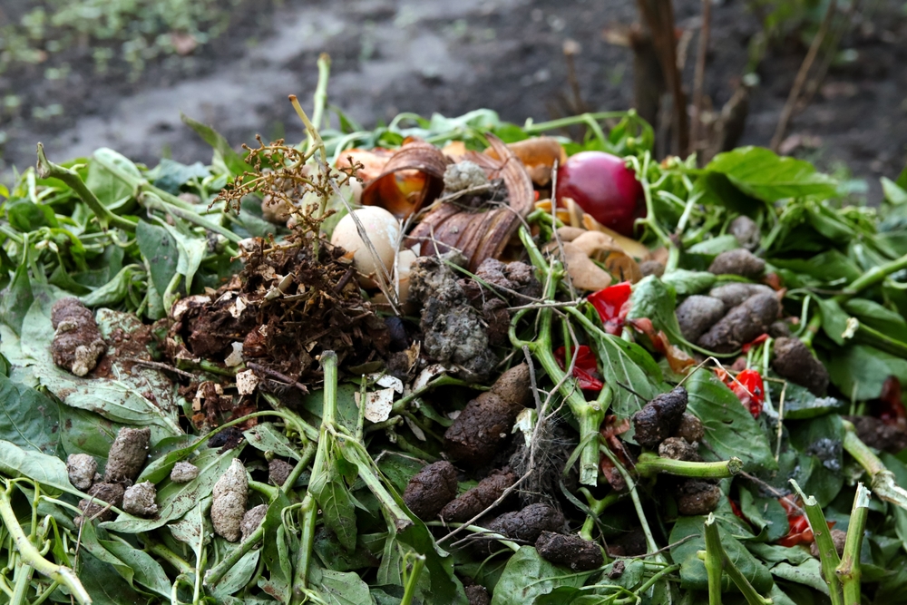 Here Are 7 Compost Layering Mistakes That Stop Heat Production