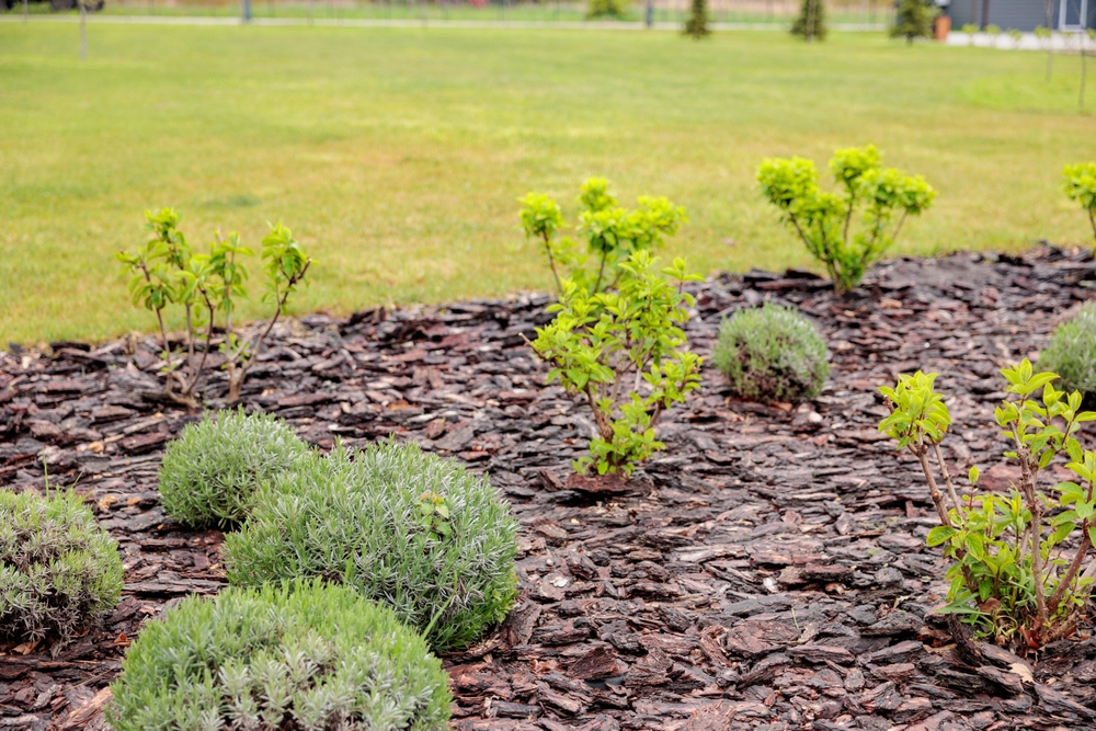 7 Cheap Covers That Protect Plants Better Than Frost Cloth