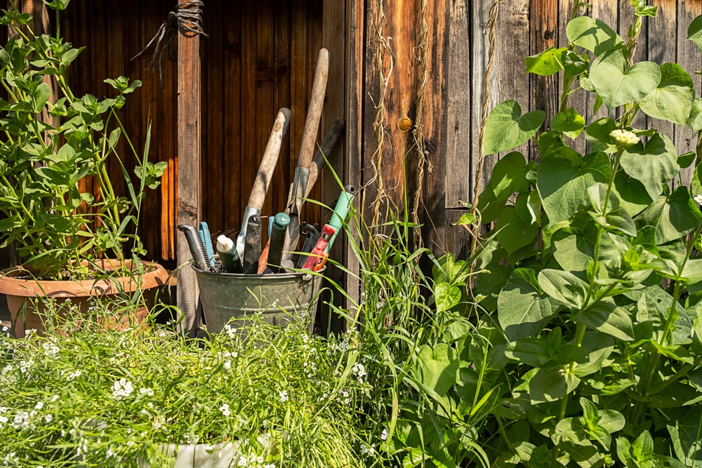 9 Mistakes That Make Home Gardens More Expensive Than Necessary