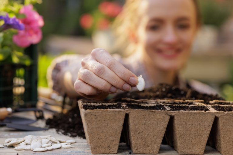 Gardeners Are Buying Seeds Earlier to Avoid Spring Shortages