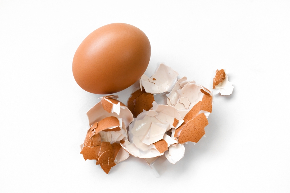 These Are 8 Free Garden Materials People Throw Away Every Week