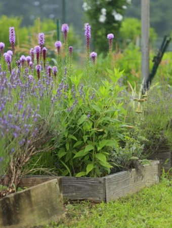 These Are 9 Reasons Your Raised Beds Drain Worse in Winter and the Fix