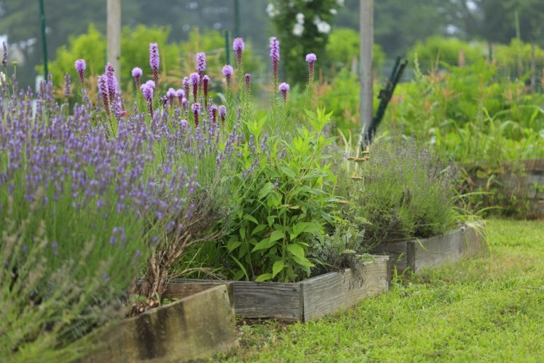 These Are 9 Reasons Your Raised Beds Drain Worse in Winter and the Fix