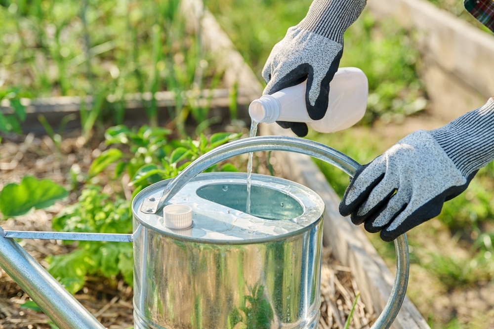 These Are 6 Soil Additives That Could Backfire in Cold Weather