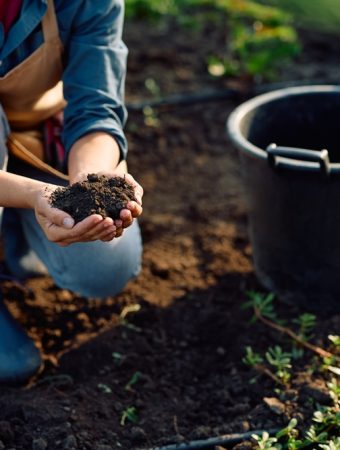 These Are 6 Soil Additives That Could Backfire in Cold Weather