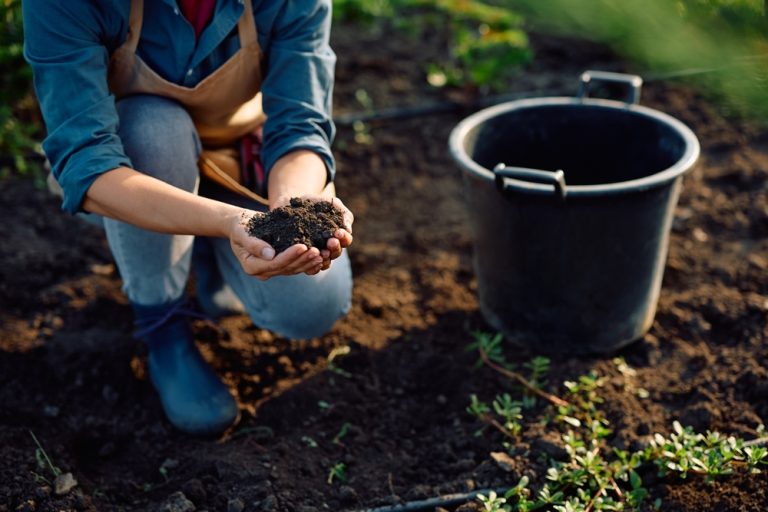 These Are 6 Soil Additives That Could Backfire in Cold Weather