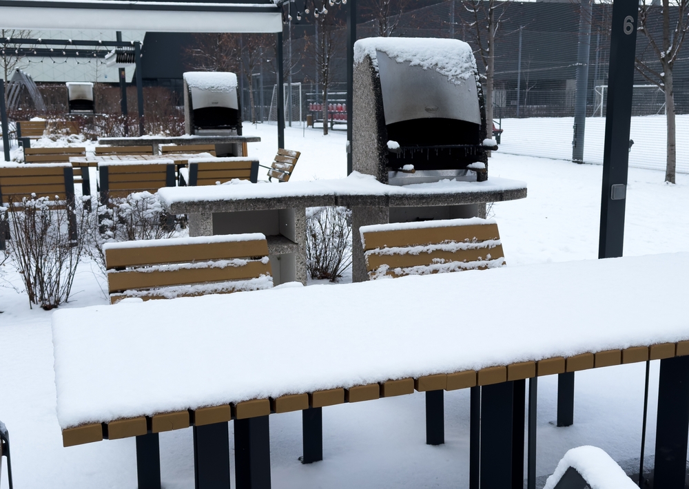 Here Are 9 Winter Garden Problems You Can Fix in 20 Minutes