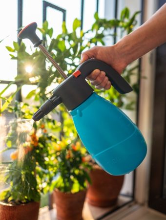 Are You Overwatering Plants Before They Even Go Outside?