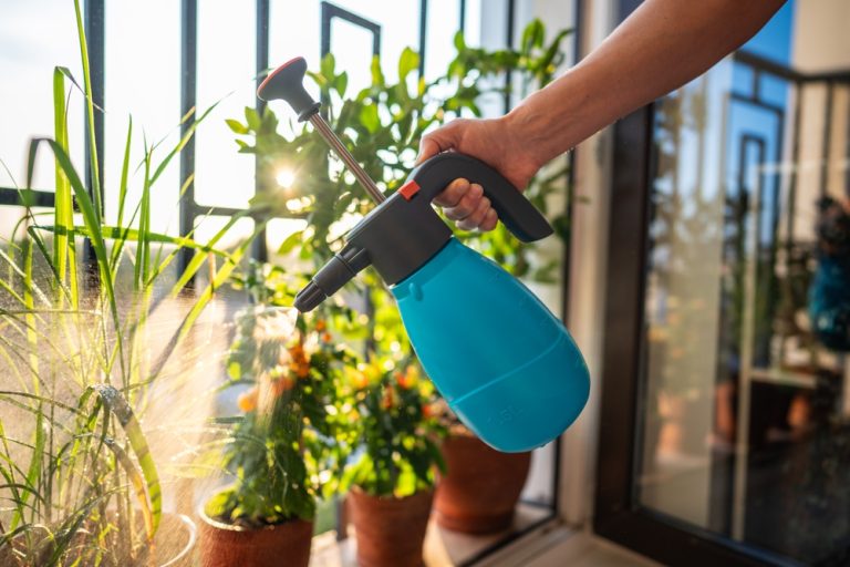 Are You Overwatering Plants Before They Even Go Outside?
