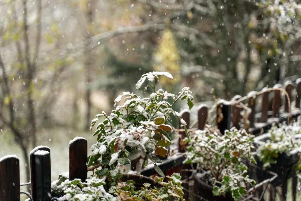These Are 7 Tiny Fence Fixes That Keep Snow From Destroying Panels