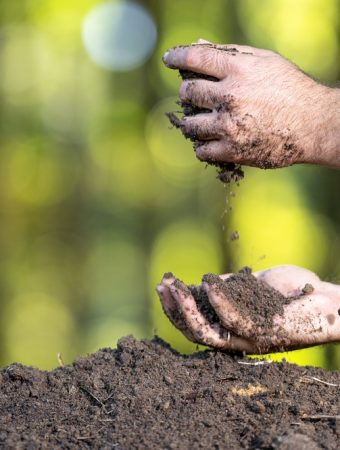 Why You Shouldn’t Trust TikTok’s ‘No-Dig’ Method in Clay Soil