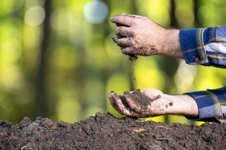 Why You Shouldn’t Trust TikTok’s ‘No-Dig’ Method in Clay Soil