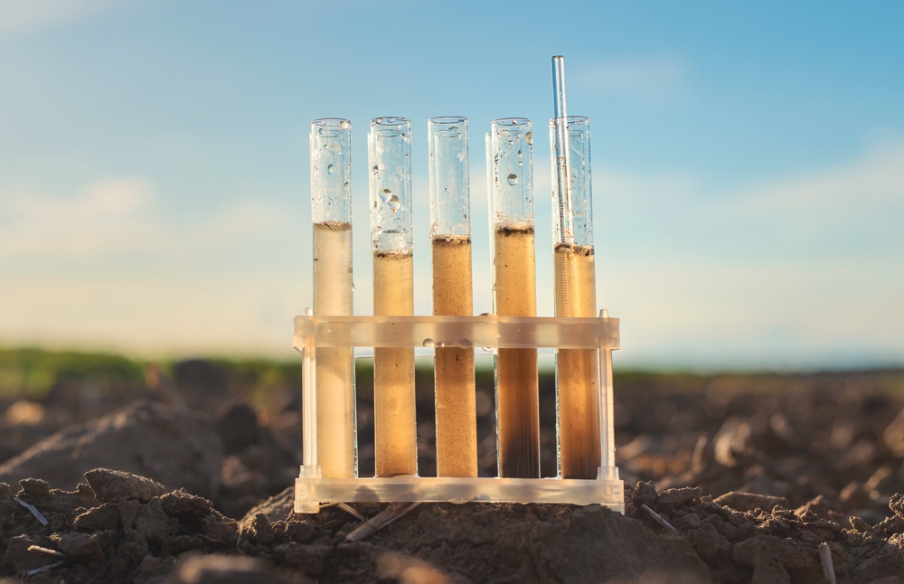 Gardeners in the Carolinas Warned: Soil Mix Is Testing Positive for Lead