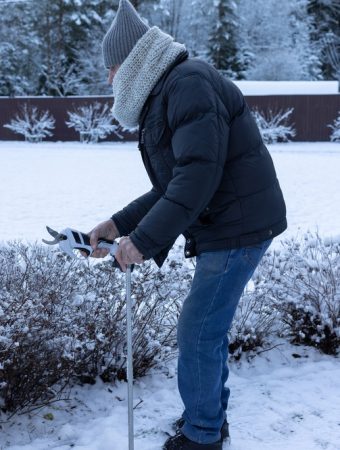 Here Are 11 Winter Garden Myths That Waste Time and Money