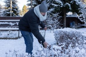 These Are 10 Winter Garden Tasks That Save You Hours in March