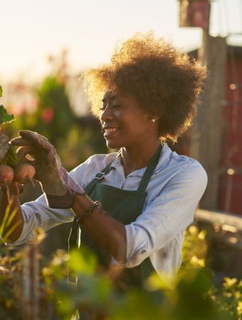 Why Some Cities Are Cracking Down on Front Yard Vegetable Gardens Again