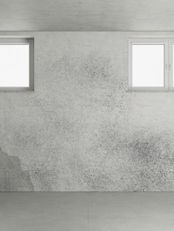 Stormwater Authorities Warn: Your Garden Could Be Causing Basement Mold