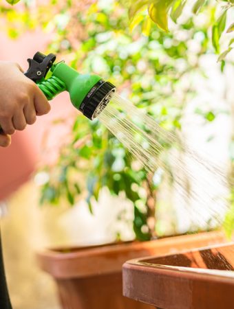 EPA Flags a Popular Garden Hose Brand for Leaching Chemicals Into Edible Crops