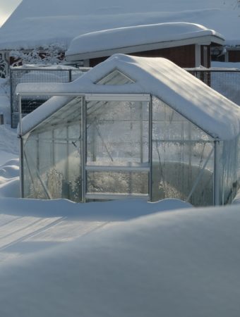 Experts Say These Indoor Greenhouses Are Failing Seedlings in Cold Snaps