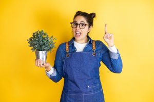 5 Reasons Why Every Gardener Should Focus On Native Plants