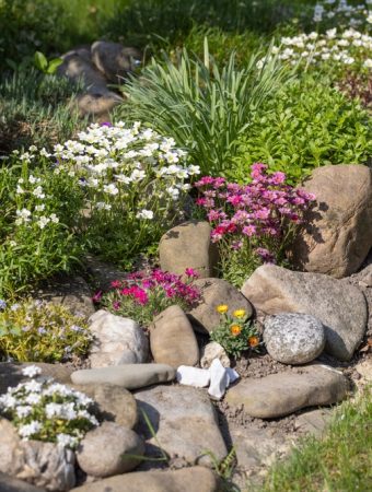 This Viral Gardening Hack Is Quietly Killing Plants — And Costing You More