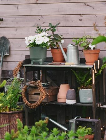 10 Things You Should Remove From Your Garden Immediately — They’re Ruining the Whole Look