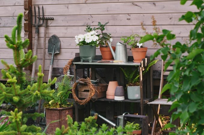 10 Things You Should Remove From Your Garden Immediately — They’re Ruining the Whole Look